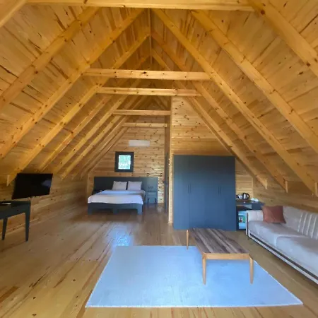 Hotel Pinhan Kazdagilari *