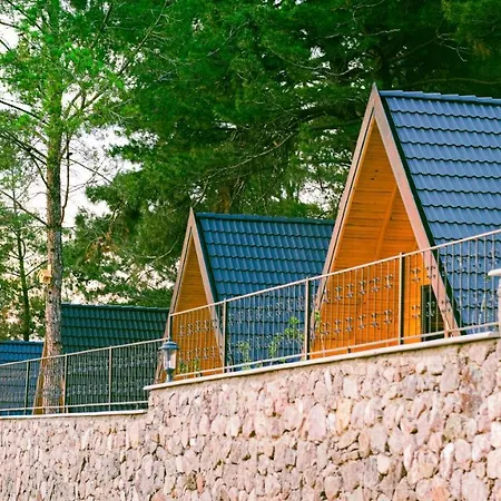 Pinhan Kazdagilari *